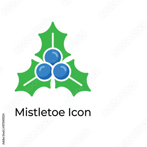 A green mistletoe plant with three blue berries Vector