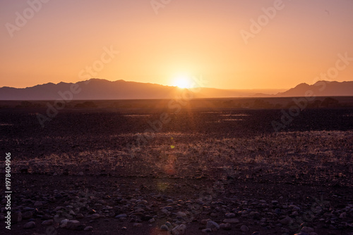 Golden dunes rise like waves frozen in time, stretching endlessly under a sky painted with soft pastels, where solitude and silence reveal the raw soul of Namibia’s desert.