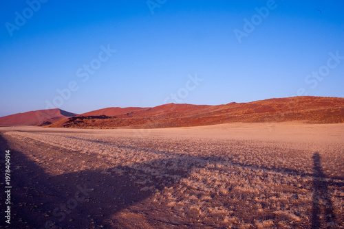 Golden dunes rise like waves frozen in time, stretching endlessly under a sky painted with soft pastels, where solitude and silence reveal the raw soul of Namibia’s desert.