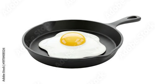Fried Egg in Cast Iron Skillet