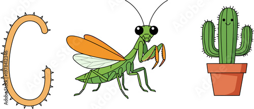 Letter C alphabet illustration with cactus and mantis insect, educational cartoon elements set, kids learning vector isolated on white background