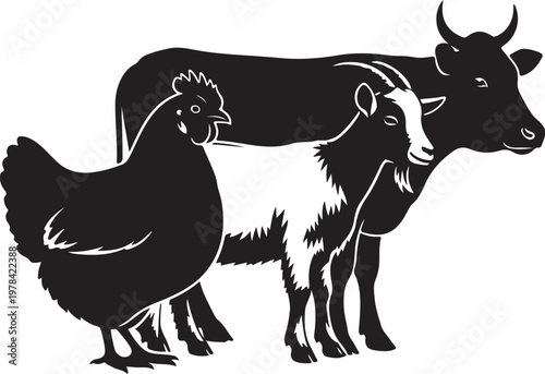 Black and white farm animals standing together peacefully outdoors