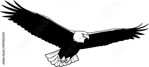 Black silhouette of an eagle in flight with wings spread wide isolated on white background
