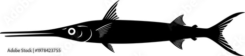 Black silhouette of a needlefish swimming isolated on white background
