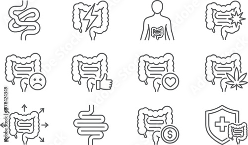 Digestive system and gut health line icons set featuring intestines, microbiome, digestion problems, healthcare, nutrition, and medical wellness symbols for design