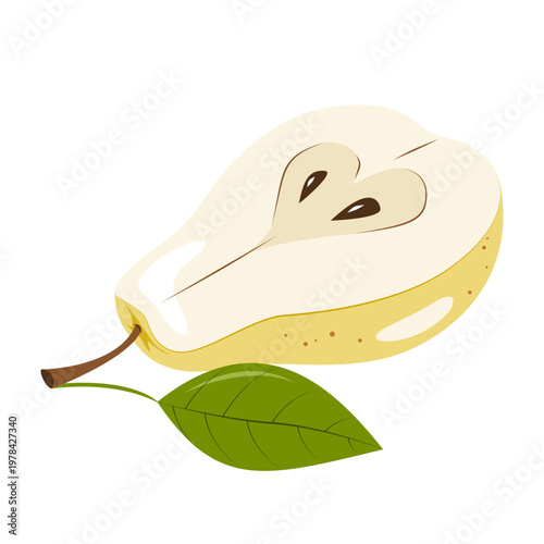 Juicy pear fruit half cut with leaf. Vector illustration