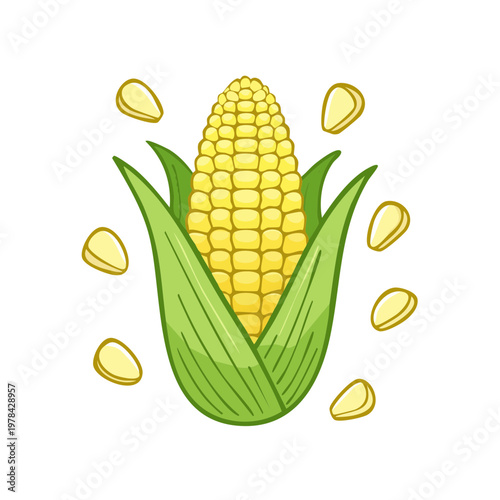 Fresh Corn Cob with Yellow Kernels and Green Leaves Artistic Illustration