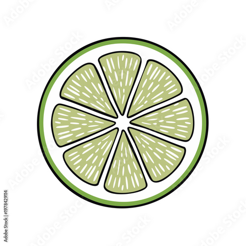 Hand Drawn Citrus Fruit Slice with Green Rind and Light Green Pulp