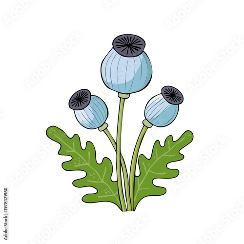 Delicate Blue Poppy Seed Pods with Green Leaves in Artistic Botanical Illustration