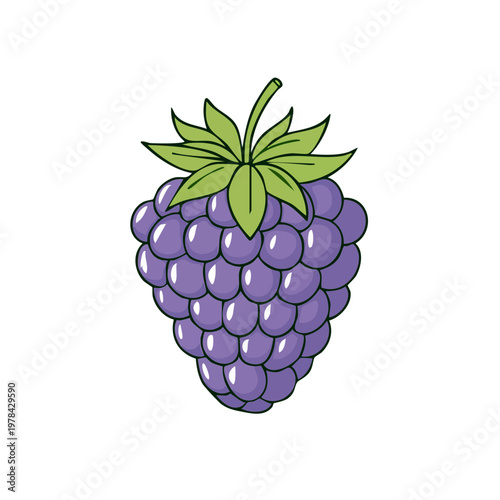 Hand-drawn illustration of a single ripe blackberry with green leaves and stem