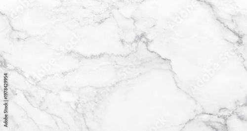 Marble granite white background wall surface black pattern graphic abstract light elegant gray for do floor ceramic counter texture stone slab smooth tile silver natural for interior decoration.