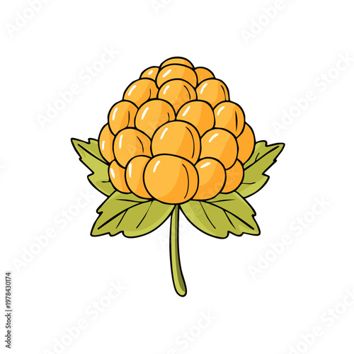 Hand Drawn Illustration of a Single Ripe Cloudberry Fruit with Green Leaves