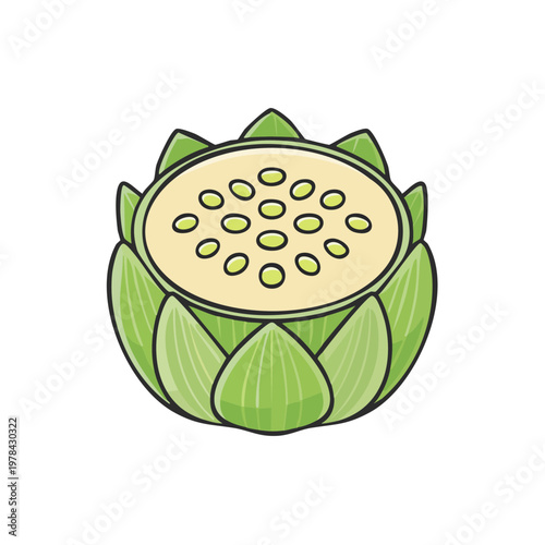 Artichoke Vegetable With Petals and Seeds Cut Open