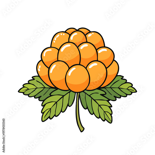 Bright cartoon illustration of a ripe orange cloudberry with green leaves and stem