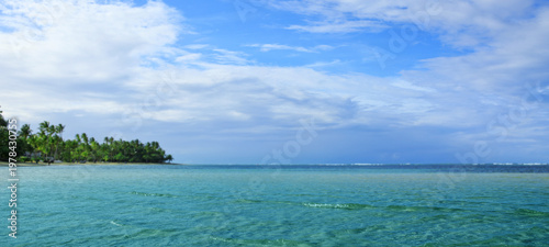 Caribbean sea and green palm trees.