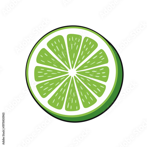 Vibrant Green Lime Slice with Juicy Segments and White Background Illustration
