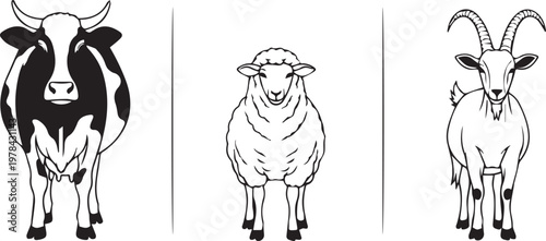 Farm animals, black and white cow, sheep, goat illustrations, vector icons, rural livestock