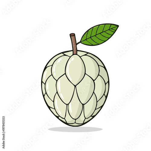 Fresh Custard Apple Fruit with Leaf and Stem Simple Flat Illustration