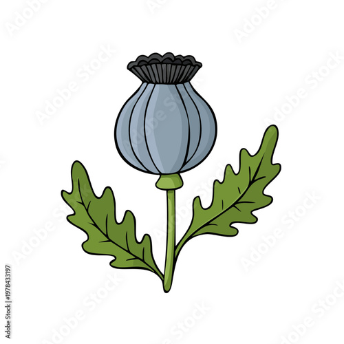 Delicate Blue Poppy Seed Pod with Green Leaves Illustration Botanical Artwork