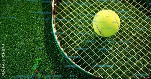 Tennis ball resting on racket strings highlighting fuzzy texture against vibrant grass in 3D render