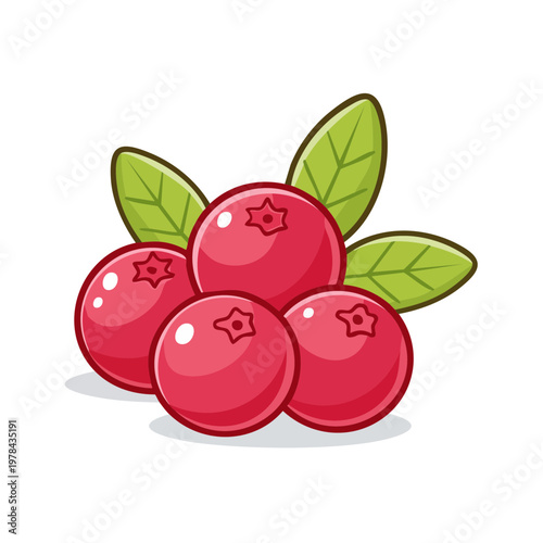 Illustration of a cluster of four bright red cranberries with green leaves