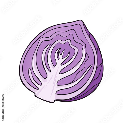 Vibrant illustration of a halved red cabbage showing its layered structure and deep purple hue