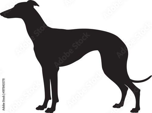 Elegant Greyhound Silhouette Highlighting Speed and Grace