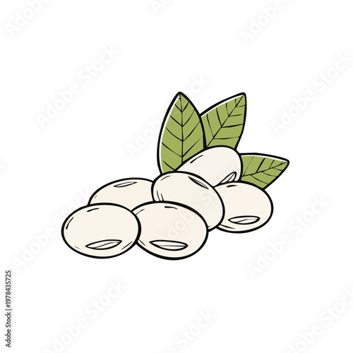 Heap of white soybeans with green leaves in a stylized drawing
