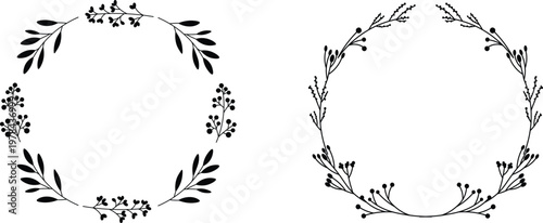 Morphological differences in plant leaves and stems from two distinct species