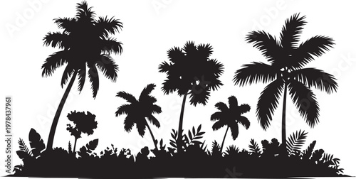 Silhouette of tropical palm trees against a light background with lush foliage.