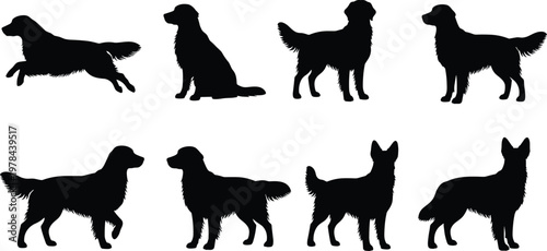 Golden retriever silhouette set with running sitting and standing dog poses
