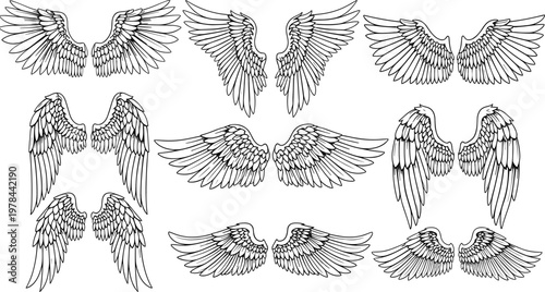 Set of detailed angel wings outline drawings in different styles, feathered wing collection isolated vector illustration for tattoo and design use