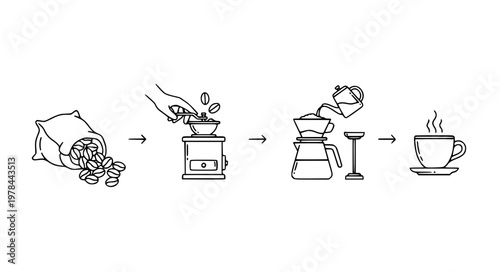 Coffee Workflow Vector with Bean to Cup Process Sequence