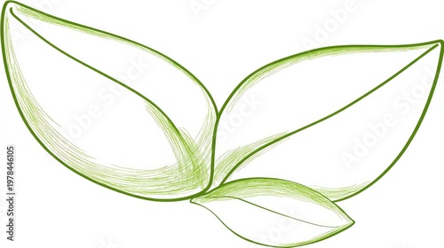 Stylized depiction of three overlapping green botanical elements rendered with sketch lines