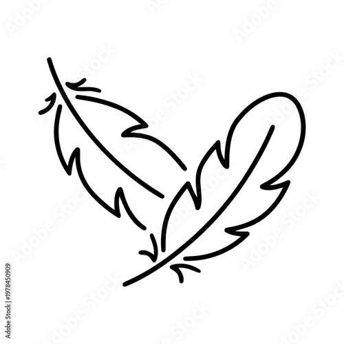 Black outline of two feathers isolated on a white background. Vector illustration.