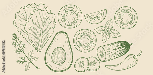 Bild auf Leinwand Set of hand-drawn fresh vegetables and herbs including lettuce, avocado, tomato slices, cucumber, basil, and chili pepper on a light background