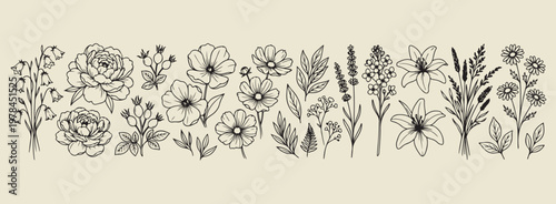Minimal hand drawn botanical border, Expressive brush line wildflower sketch, Clean layout garden flora illustration, High negative space nature drawing, Rough sketch style floral border art, Simple b