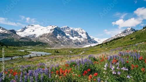 Mountain landscape with wildflower meadow during spring. Snowy peaks above valley with stream and colorful flora
