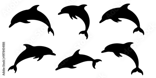 Set of dolphin silhouettes in different swimming poses marine animals