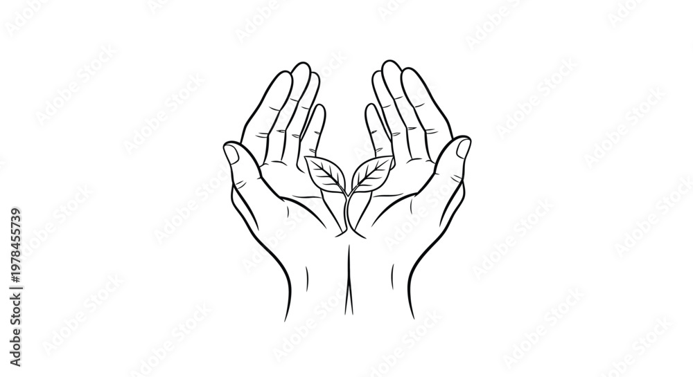 Fototapeta premium A delicate line drawing depicts two hands cupping a small budding plant with two leaves