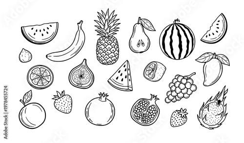 Hand drawn tropical fruit doodle collection line art set vector isolated on white background