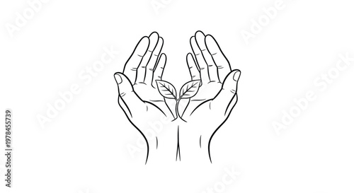 A delicate line drawing depicts two hands cupping a small budding plant with two leaves