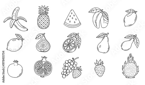 Tropical fruit doodle line art set banana pineapple watermelon and more vector isolated on white background