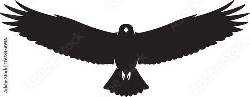 Black silhouette of a majestic bird of prey with wide wingspan soaring in the sky