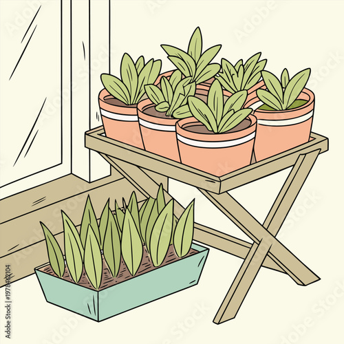 Illustration of various potted plants several on a wooden stand and a long planter on the floor situated indoors next to a window representing home gardening and green living with indoor plants