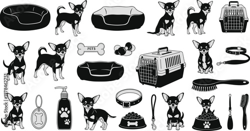 Collection of chihuahua dogs and pet accessories in black and white vector art animal