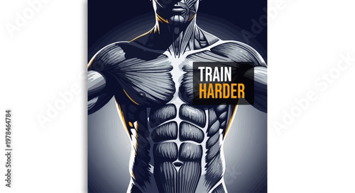 Anatomical illustration of a muscular male torso with the words "Train Harder" superimposed.