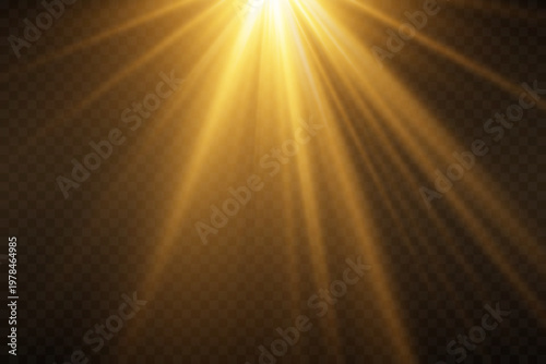 Golden light rays shining from above, providing illumination and warm glow element