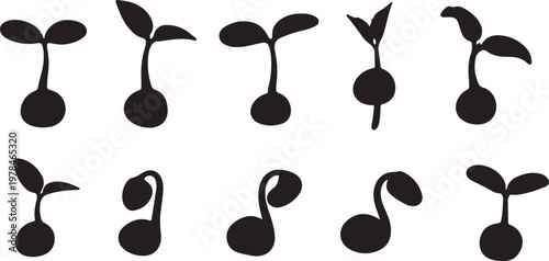 Set of black silhouettes of seedling plants growing upwards slowly