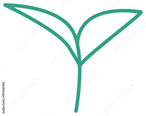 Japanese Matcha and Green Tea Ceremony Decoration Element. This two-tone decoration asset is perfect for minimalist cafe branding, menu design, and artisanal tea packaging.